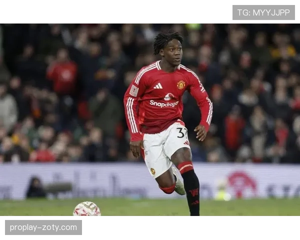 B费与贝林厄姆：新老中场核心的战术定位与数据表现对比