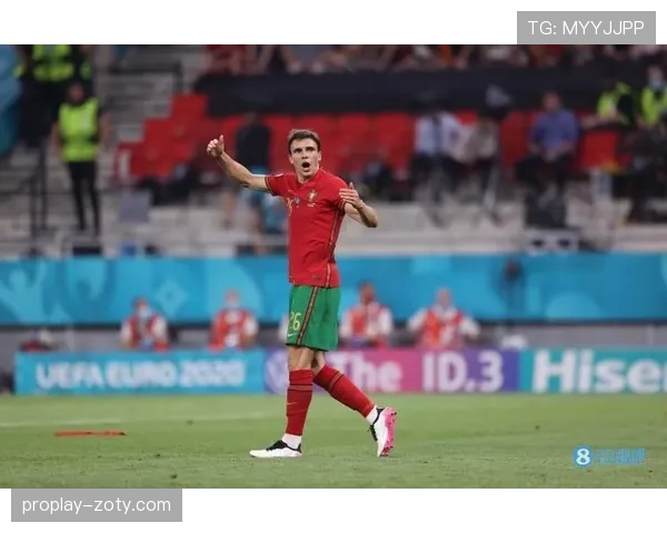 帕利尼亚从布拉加到重返葡萄牙体育的关键转折点解析